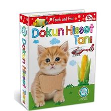 Circle Toys Dokun Hisset Tanı Eğitim Kartları