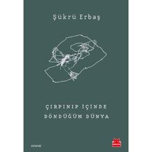 Çırpınıp İçinde Döndüğüm Dünya - Şükrü Erbaş
