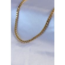 Clariss 316L Çelik Gold Renk Arpa Model Kadın Kolye