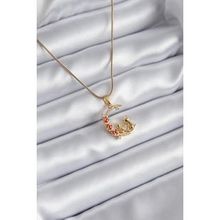 Clariss 316L Çelik Gold Renk Hilal Kedi Model Zirkon Taşlı Detay Kadın Kolye