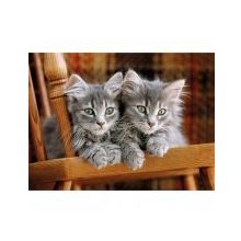 Clementoni Kittens 500 Parça Puzzle
