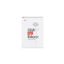 Çölde Gül Bahçesi Öğretmen Hatıraları Diyanet Vakfı Yayınları