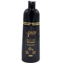 Color One 300 ml Saç Siyahlaştırıcı Beyaz Kapatıcı Şampuan Boya