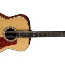 Cort L100 ONS Akustik Gitar