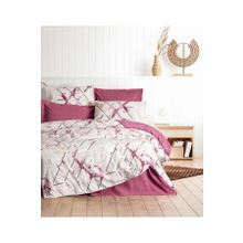 Cotton Box Renata Mürdüm Çift Kişilik 200x220 cm Nevresim Takımı