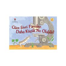 Cüce Sivri Fareden Daha Küçük Ne Olabilir? - Robert E. Wells
