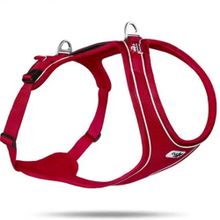 Curli Belka Comfort Harness Köpek Göğüs Tasması Kırmızı XS 58-62X42 cm Tasma