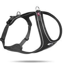Curli Belka Comfort Harness Siyah XS 58-62X42 cm Köpek Göğüs Tasması