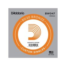 D'addario BW047 Akustik Gitar Tek Teli