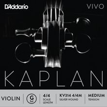 D'addario KV314 Kaplan Vıvo Scale Length 4/4 G-S Keman Tek Tel