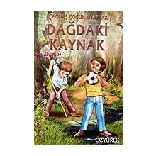 Dağdaki Kaynak - Talip Apaydın