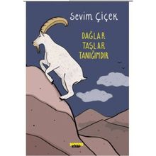 Dağlar Taşlar Tanığımdır - Sevim Çiçek