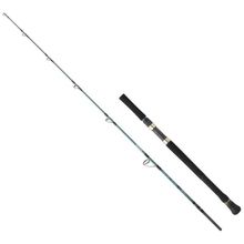 Daiwa Grandwave 1.68 m 60-120 gr 2p Jig Olta Kamışı