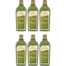 Dalan Onarıcı 6x400 ml Bakım Şampuanı