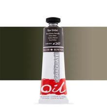 Daler Rowney Georgian 38 ML N:247 Raw Umber Yağlı Boya