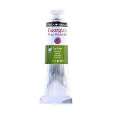Daler Rowney Georgian Gwamo Sulandirilabilir Sap Green 37 ml Yağlı Boya
