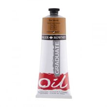 Daler Rowney Graduate 200 ml 667 Raw Sienna Yağlı Boya