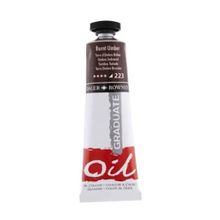 Daler Rowney Graduate Grad Oil Burnt Umber 38 ml Yağlı Boya