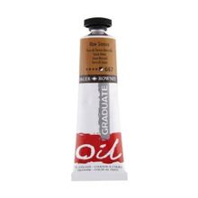 Daler Rowney Graduate Grad Oil Raw Sienna 38 ml Yağlı Boya