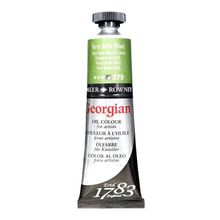 Daler Rowney N:379 Terre Verte 38 ML Georgian Yağlı Boya