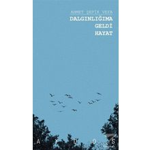 Dalgınlığıma Geldi - Ahmet Şefik Vefa