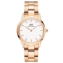 Daniel Wellington DW00600211 Iconic Link 32mm Rose Gold White Kadın Kol Saati