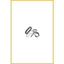 Dayco 5PK1695 Kanallı Kayış