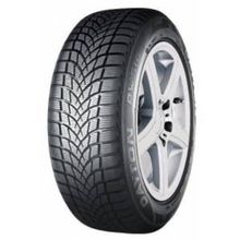 Dayton 195/55 R16 87H DW510 Evo Kış Lastiği