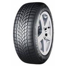 Dayton 225/45 R17 91H DW510E Kış Lastiği Üretim Yılı: 2021