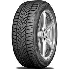 Debica 205/60 R16 96H XL Frigo HP2 Kış Lastiği