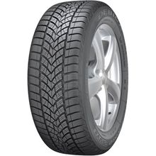 Debica 225/60 R17 103V XL Frigo 2 Kış Lastiği 2022