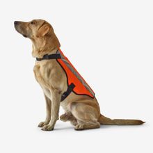 Decathlon Solognac 100 Turuncu Avcılık Köpek Yeleği