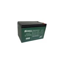 Deep Power Deeppower 12V 14AH Elektrikli Bisiklet Aküsü