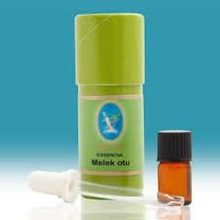 Defne Nuka Essencia 1 ml Melek Otu Yağı