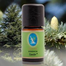 Defne Nuka Essencia 10 ml Sedir Yağı