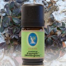 Defne Nuka Essencia 5 ml Kışyeşili Yağı