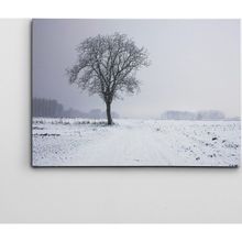 Dekolata Ağaç 40x60 cm Kanvas Tablo