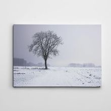Dekolata Ağaç 70x100 cm Kanvas Tablo