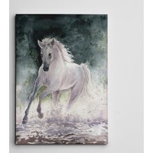Dekolata Beyaz At 50x70 cm Kanvas Tablo