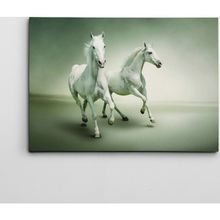 Dekolata Beyaz Atlar 40x60 cm Kanvas Tablo