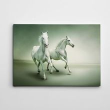 Dekolata Beyaz Atlar 70x100 cm Kanvas Tablo
