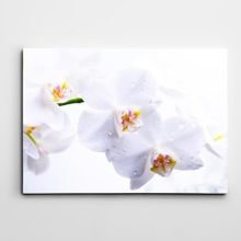 Dekolata Beyaz Çiçekler 35x50 cm Kanvas Tablo