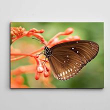 Dekolata Çiçek ve Kelebek 140x200 cm Kanvas Tablo