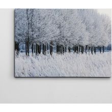 Dekolata Donmuş Topraklar 40x60 cm Kanvas Tablo