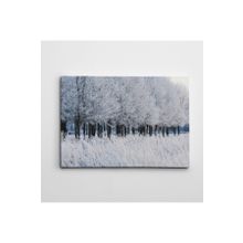Dekolata Donmuş Topraklar 70x100 cm Kanvas Tablo