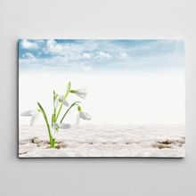 Dekolata Kardelenler 20x30 cm Kanvas Tablo