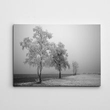 Dekolata Kış ve Yol Siyah Beyaz 35x50 cm Kanvas Tablo