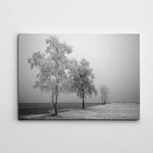 Dekolata Kış ve Yol Siyah Beyaz 40x60 cm Kanvas Tablo