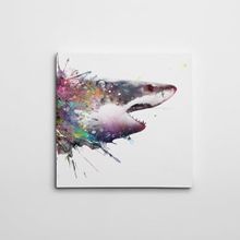 Dekolata Köpek Balığı Kare 50x50 cm Kanvas Tablo
