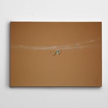 Dekolata Örümcek 70x100 cm Kanvas Tablo